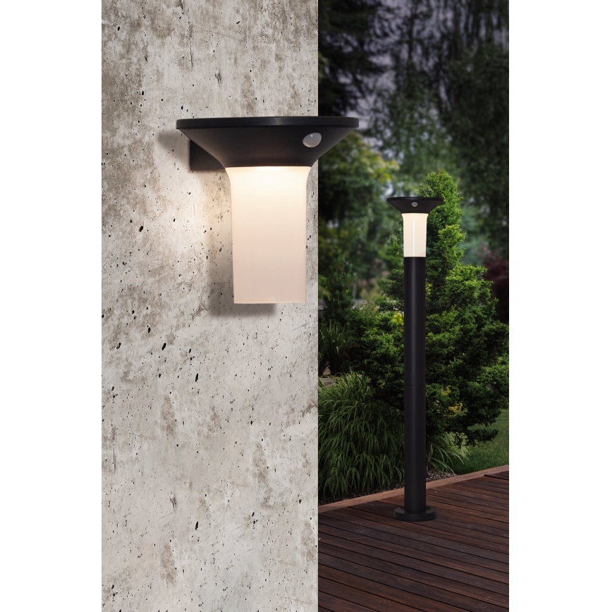 Eglo - LED Spoljašnja solarna lampa sa senzorom 6xLED/0,03W/3,7V IP44