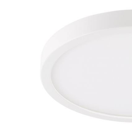 Eglo - LED Plafonjera za kupatilo LED/20,5W/230V IP44 bela