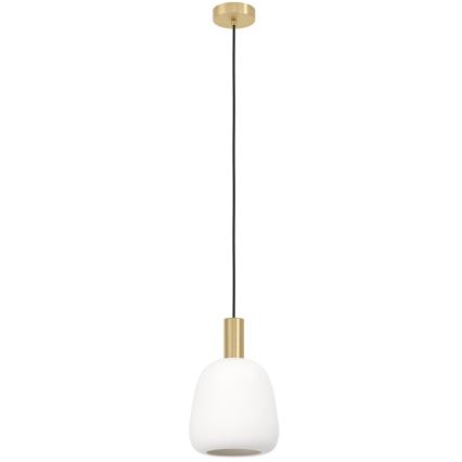 Eglo - Luster na sajli 1xE27/40W/230V