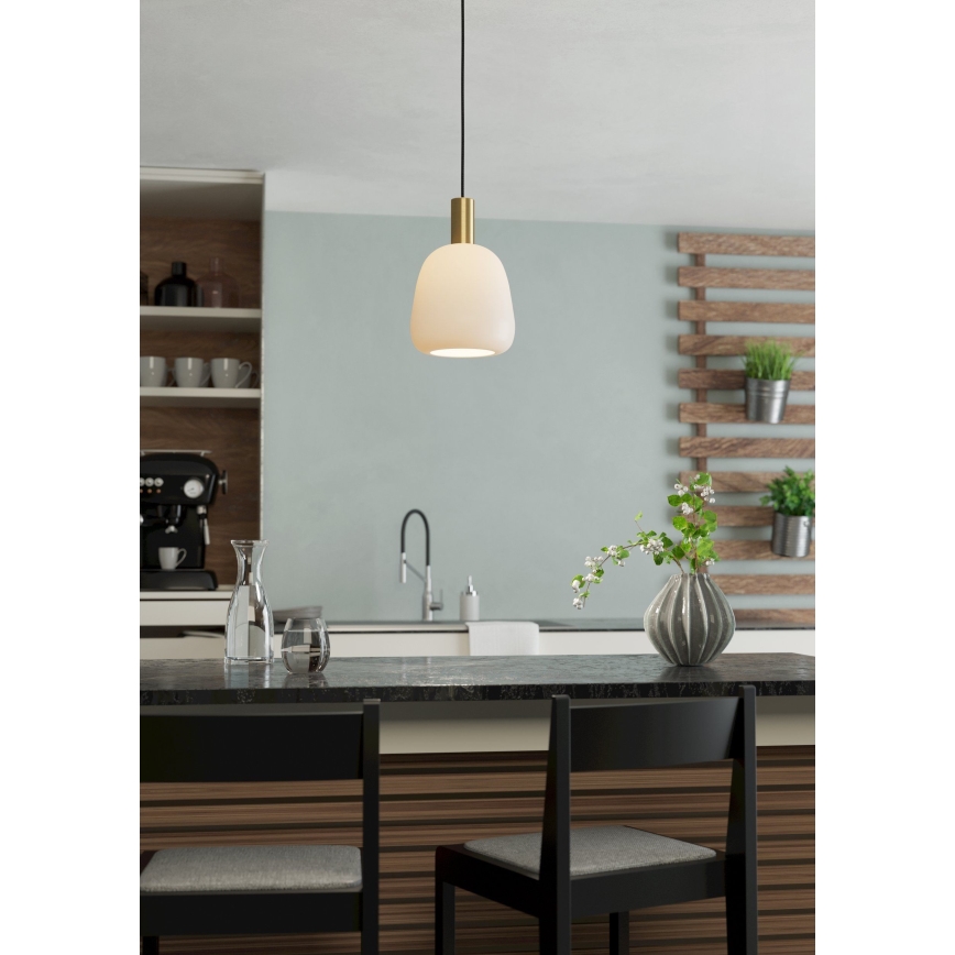 Eglo - Luster na sajli 1xE27/40W/230V