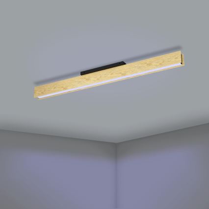 Eglo - LED RGBW Prigušiva plafonjera LED/35W/230V 2700-6500K