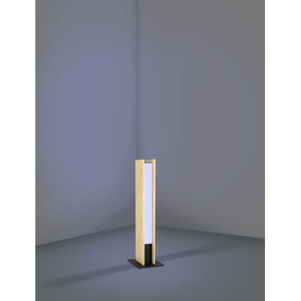 Eglo - LED RGBW Prigušiva stona lampa LED/16W/230V 2700-6500K