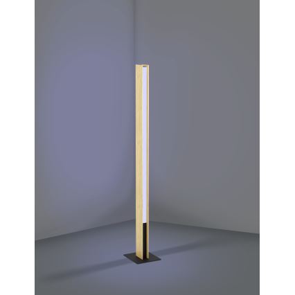 Eglo - LED RGBW Prigušiva podna lampa LED/35W/230V 2700-6500K