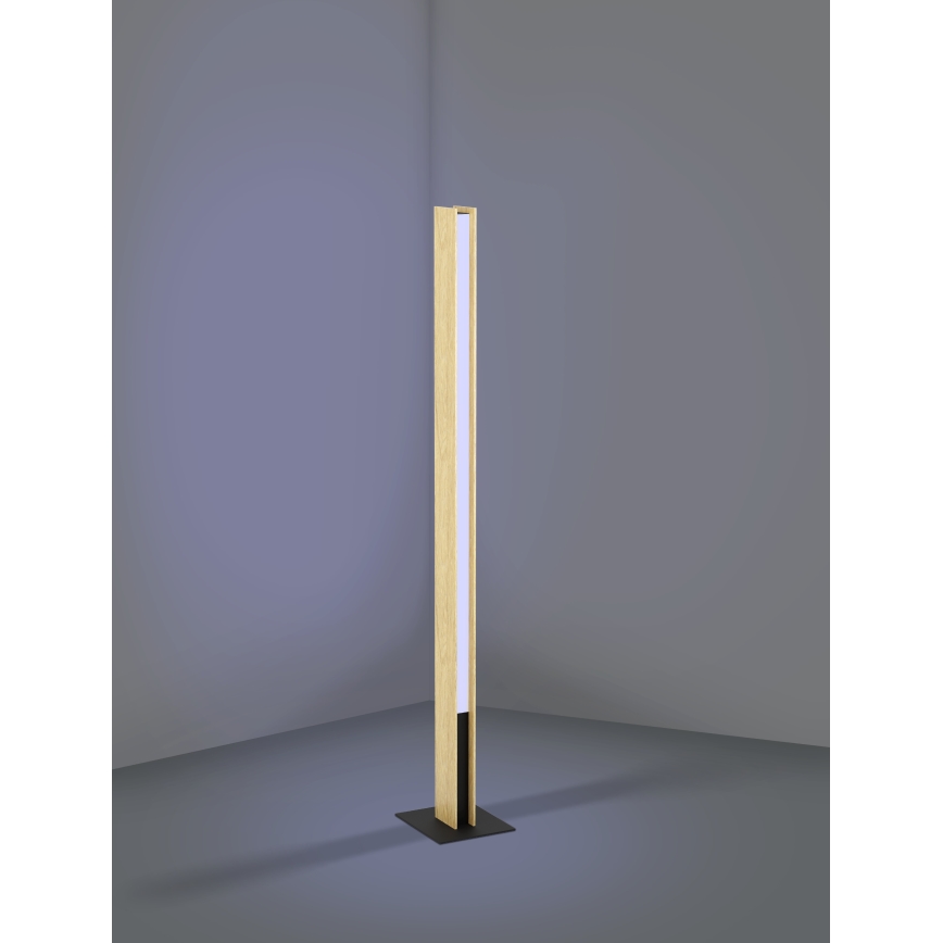 Eglo - LED RGBW Prigušiva podna lampa LED/35W/230V 2700-6500K
