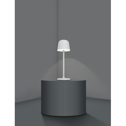Eglo - LED Prigušiva vanjska punjiva lampa LED/2,2W/5V 1800 mAh sivo IP54