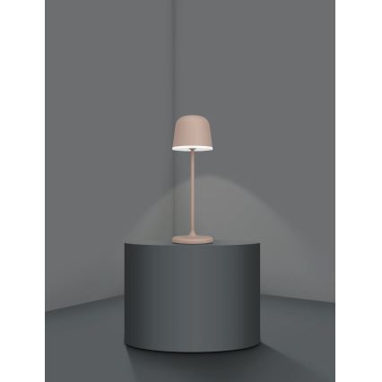 Eglo - LED Prigušiva vanjska punjiva lampa LED/2,2W/5V 1800mAh braon IP54