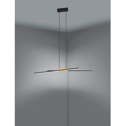 Eglo - LED Prigušivi luster na sajli 2xLED/13W/230V
