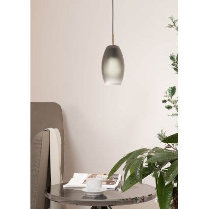 Eglo - Luster na sajli 1xE27/40W/230V