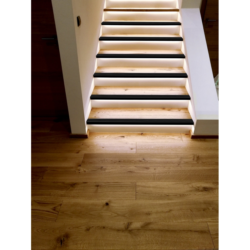 Eglo - LED Prigušiva traka 2m LED/13,2W/24/230V 2700-6500K + Daljinski upravljač
