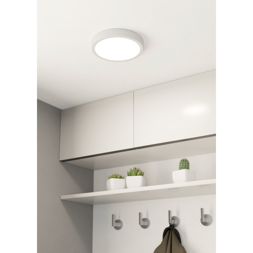 Eglo - LED Plafonjera za kupatilo LED/17W/230V bela IP44