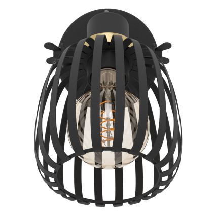 Eglo - Zidna reflektorska lampa 1xE27/40W/230V