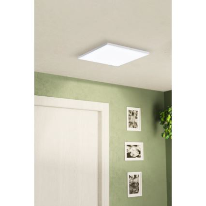 Eglo - LED Plafonjera LED/10,8W/230V