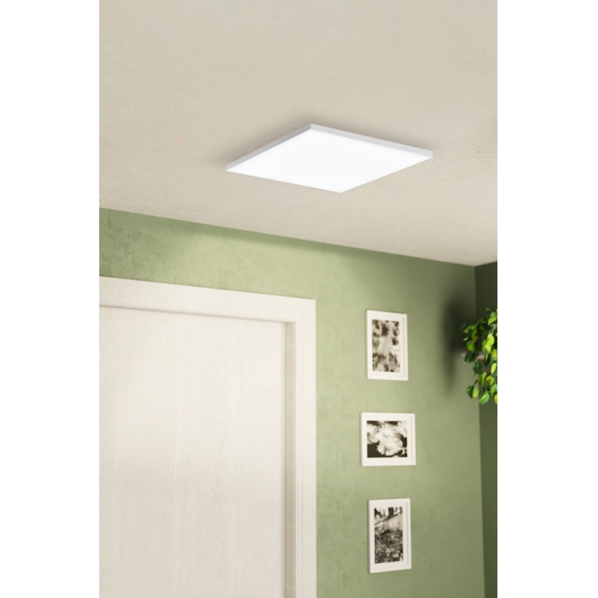 Eglo - LED Plafonjera LED/10,8W/230V