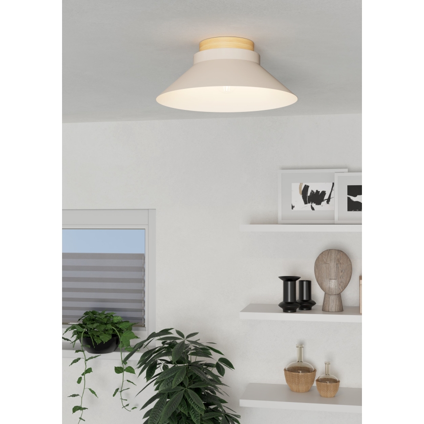 Eglo - Plafonjera 1xE27/40W/230V