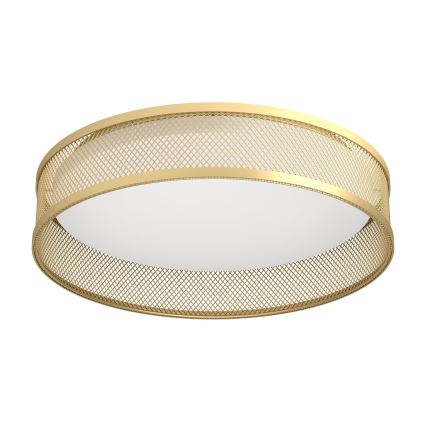 Eglo - LED Plafonjera LED/20W/230V zlatna
