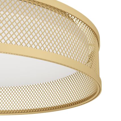 Eglo - LED Plafonjera LED/20W/230V zlatna