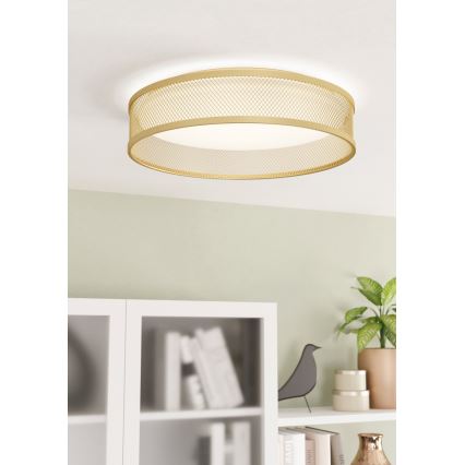 Eglo - LED plafonska svetiljka LED/20W/230V zlatna