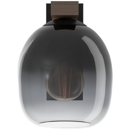 Eglo - Zidna lampa 1xE27/40W/230V