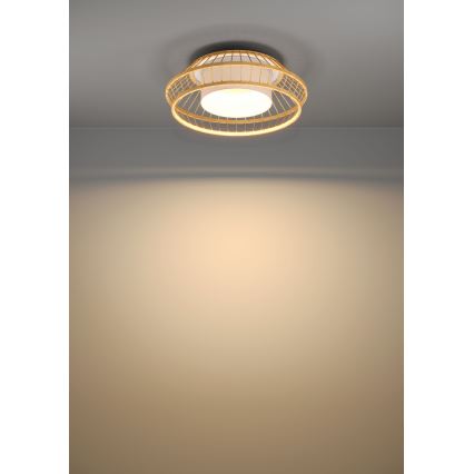 Eglo - LED RGBW Prigušiva plafonjera LED/22W/230V 2700-6500K