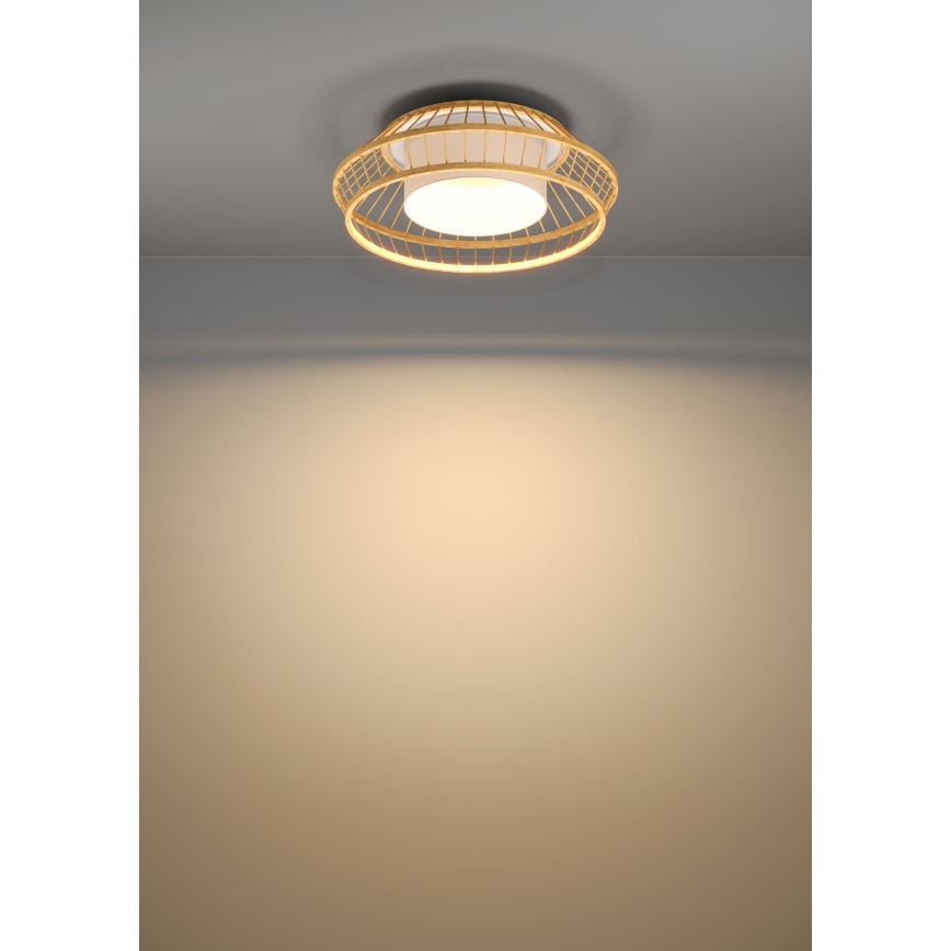 Eglo - LED RGBW Prigušiva plafonjera LED/22W/230V 2700-6500K