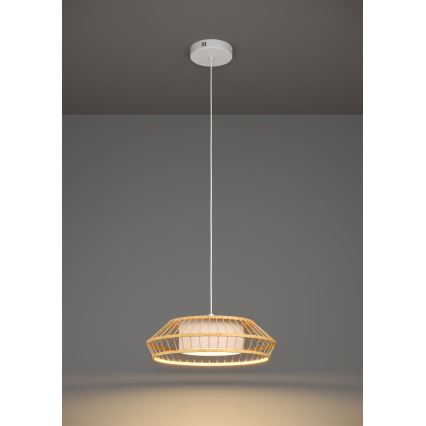 Eglo - LED RGBW Prigušivi luster na sajli LED/22W/230V 2700-6500K