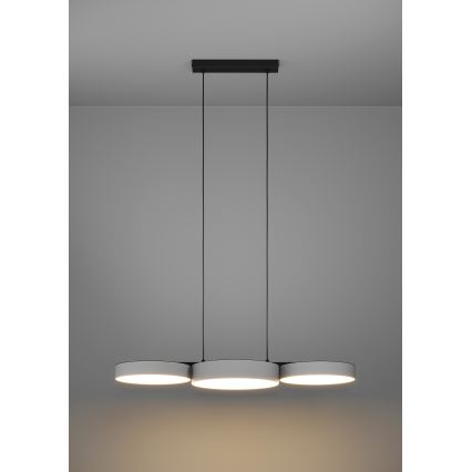 Eglo - LED RGBW Prigušivi luster na sajli 3xLED/7,5W/230V 2700-6500K sivo