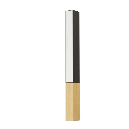 Eglo - LED Zidna lampa LED/12W/230V