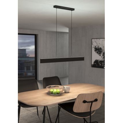 Eglo - LED RGBW Prigušivi luster na sajli LED/38W/230V 2700-6500K crno