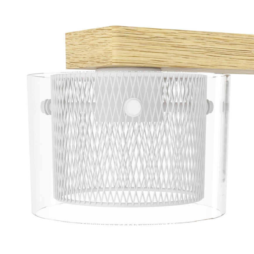 Eglo - LED RGBW Prigušivi luster na sajli 4xLED/3,7W/230V 2700-6500K