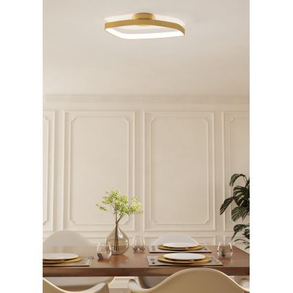 Eglo - LED Prigušiva plafonjera LED/25,2W/230V