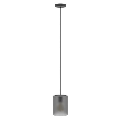 Eglo - Luster na sajli 1xE27/40W/230V sivo