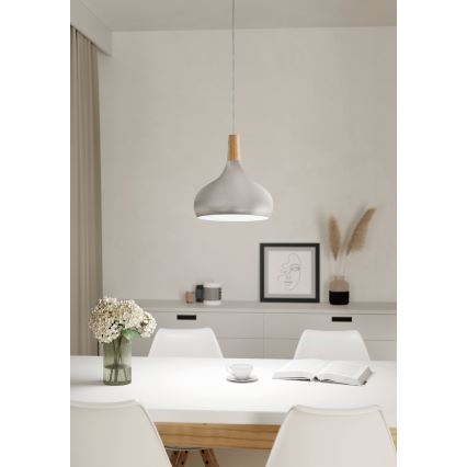 Eglo - Luster na sajli 1xE27/60W/230V pr. 28 cm srebrno - FSC sertifikovano