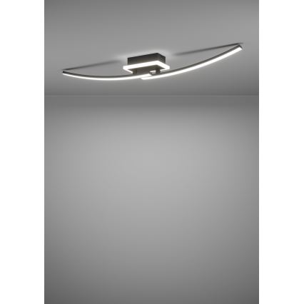 Eglo - LED Plafonjera LED/12W/230V 4000K crno