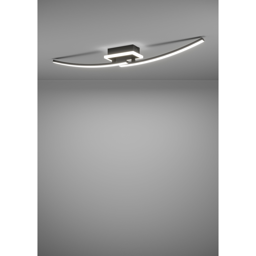 Eglo - LED Plafonjera LED/12W/230V 4000K crno