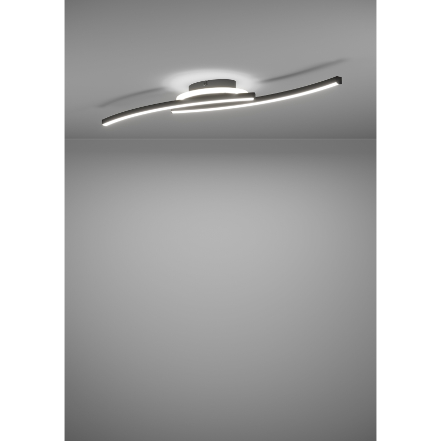 Eglo - LED Plafonjera LED/12W/230V 4000K crno