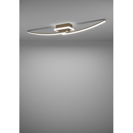 Eglo - LED Plafonjera LED/12W/230V 4000K bakrena