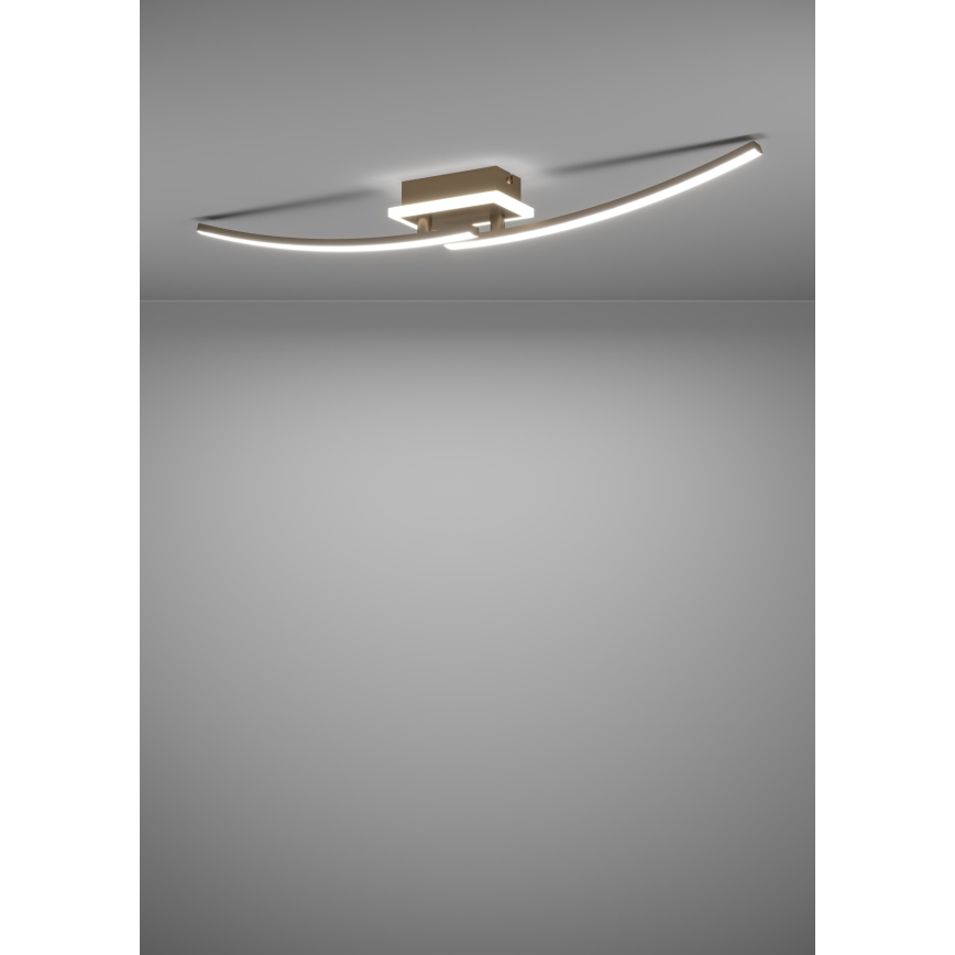 Eglo - LED Plafonjera LED/12W/230V 4000K bakrena
