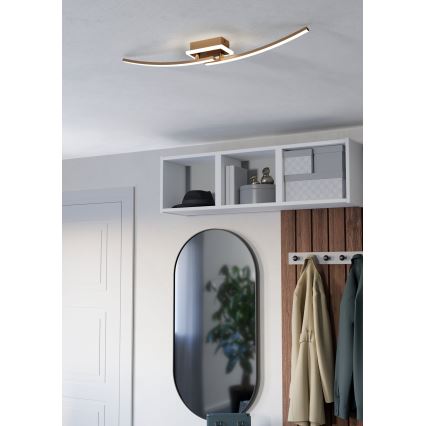 Eglo - LED Plafonjera LED/12W/230V 4000K bakrena