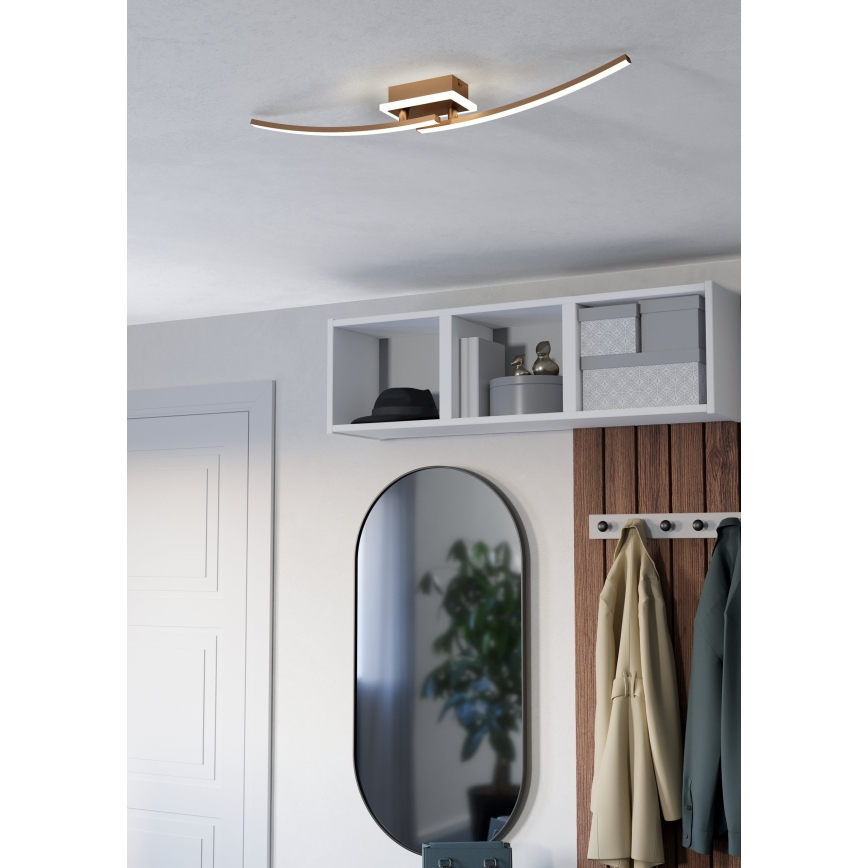 Eglo - LED Plafonjera LED/12W/230V 4000K bakrena