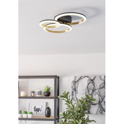 Eglo - LED Prigušiva plafonjera LED/20W/230V 4000K crno/zlatna