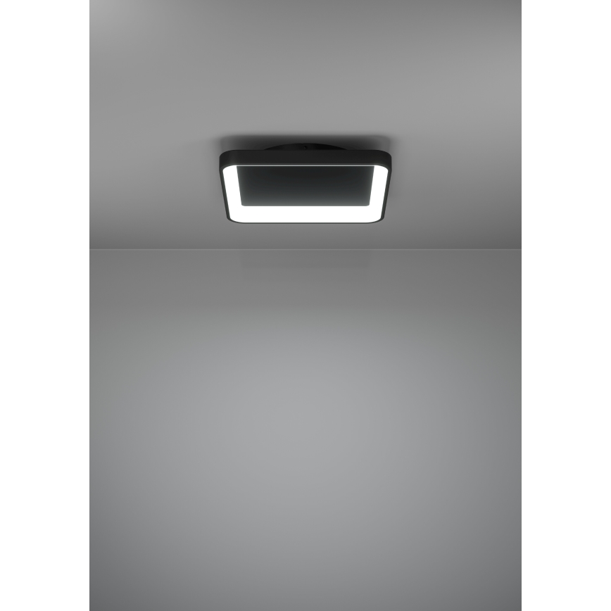 Eglo - LED Prigušiva plafonjera LED/12W/230V 2700-6500K crno + Daljinski upravljač