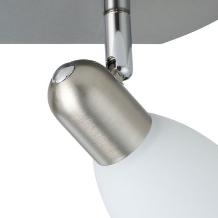 EGLO - Spot svetiljka 2xE14/40W