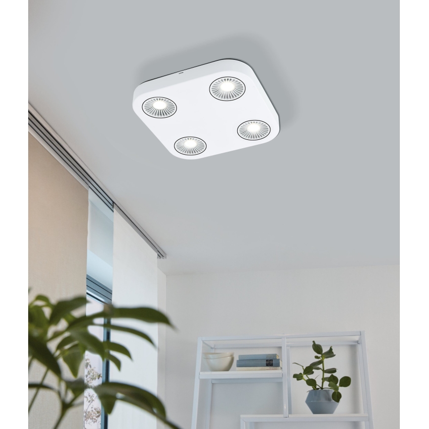 Eglo 94178 - LED reflektorsko svetlo MONTALE 4xLED/5,4W/230V