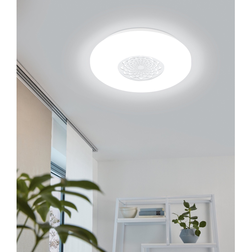 Eglo - LED plafonjera LED/24W/230V