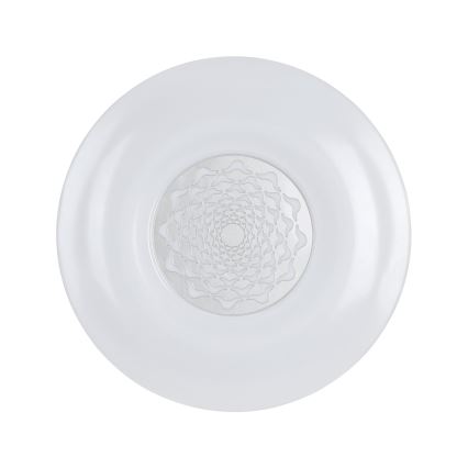 Eglo - LED plafonjera LED/24W/230V