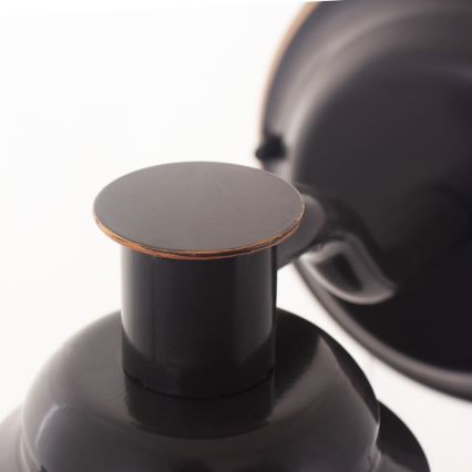 Eglo - Spoljašnje zidno svetlo 1xE27/40W IP44