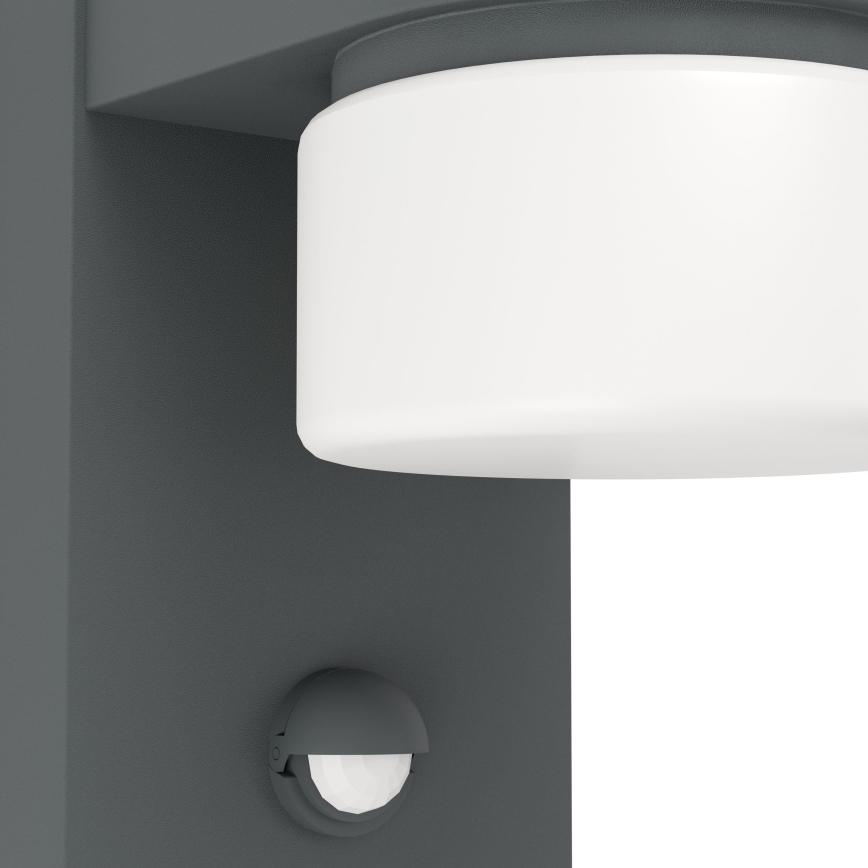 Eglo - LED Zidno spoljašnje osvetljenje sa senzorom 2xLED/6W IP44