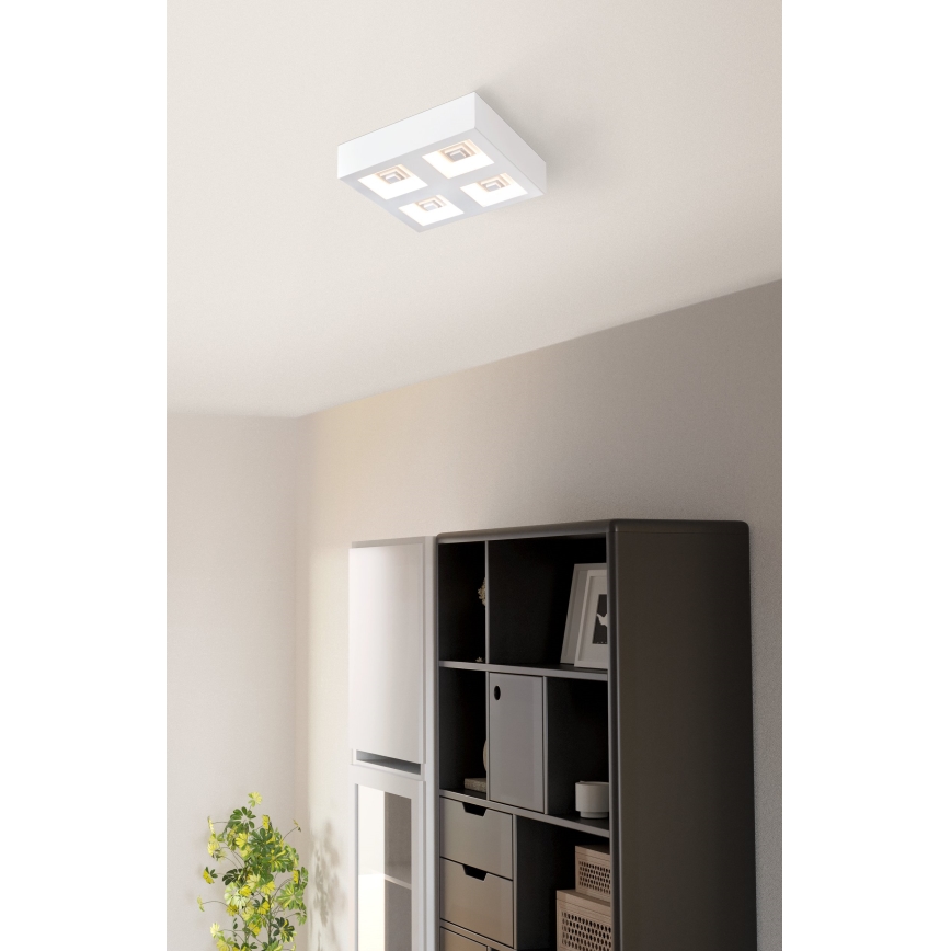 Eglo - LED Plafonjera 4xLED/6,3W/230V