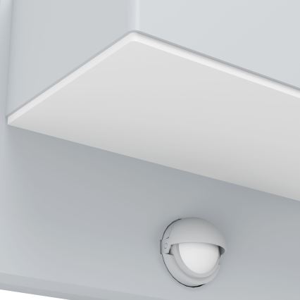 Eglo - LED Spoljašnje zidno svetlo sa senzorom 2xLED/5,6W/230V