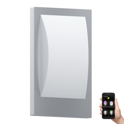 Eglo - LED Prigušiva vanjska zidna svjetiljka 1xE27/9W/230V IP44 mat krom